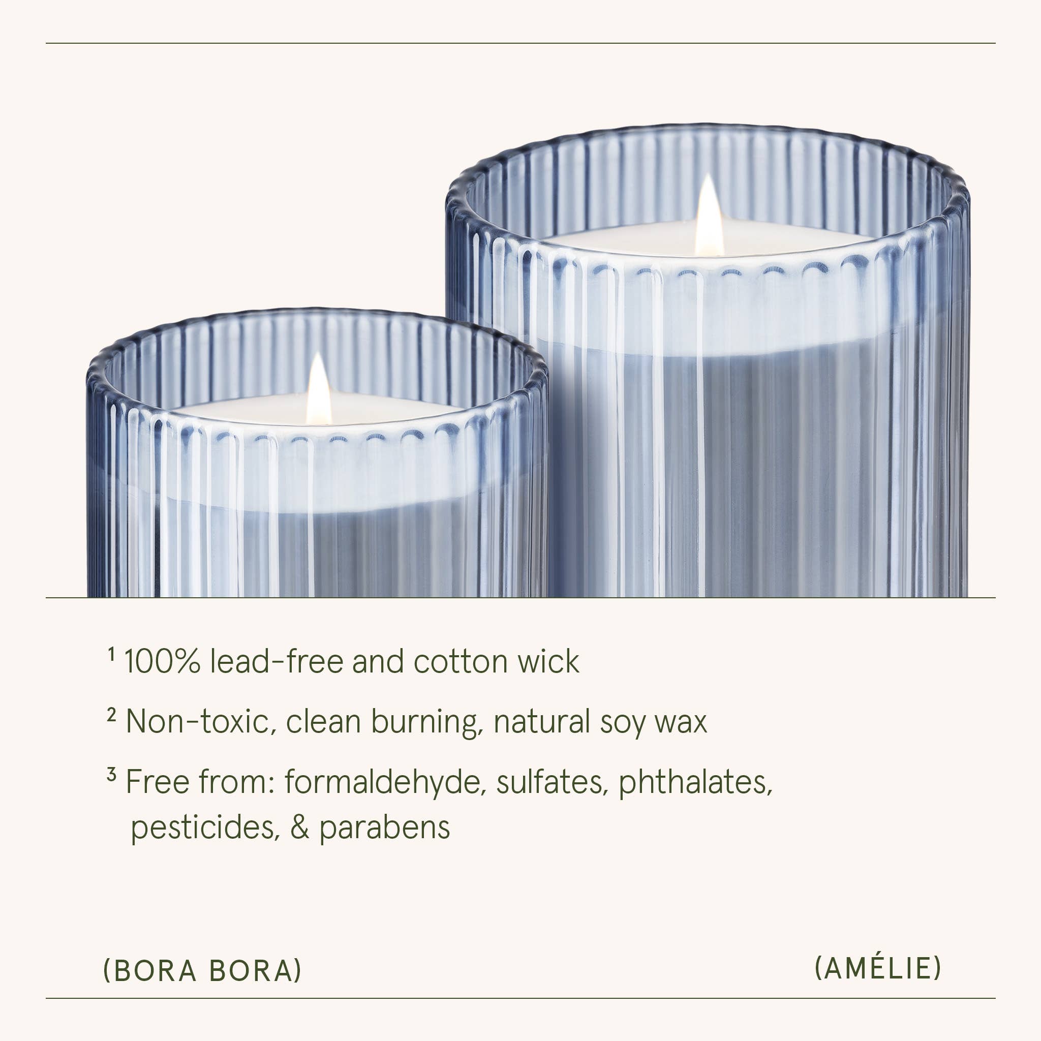 Scented Candle - Bora Bora - 11 oz | La Jolie Muse