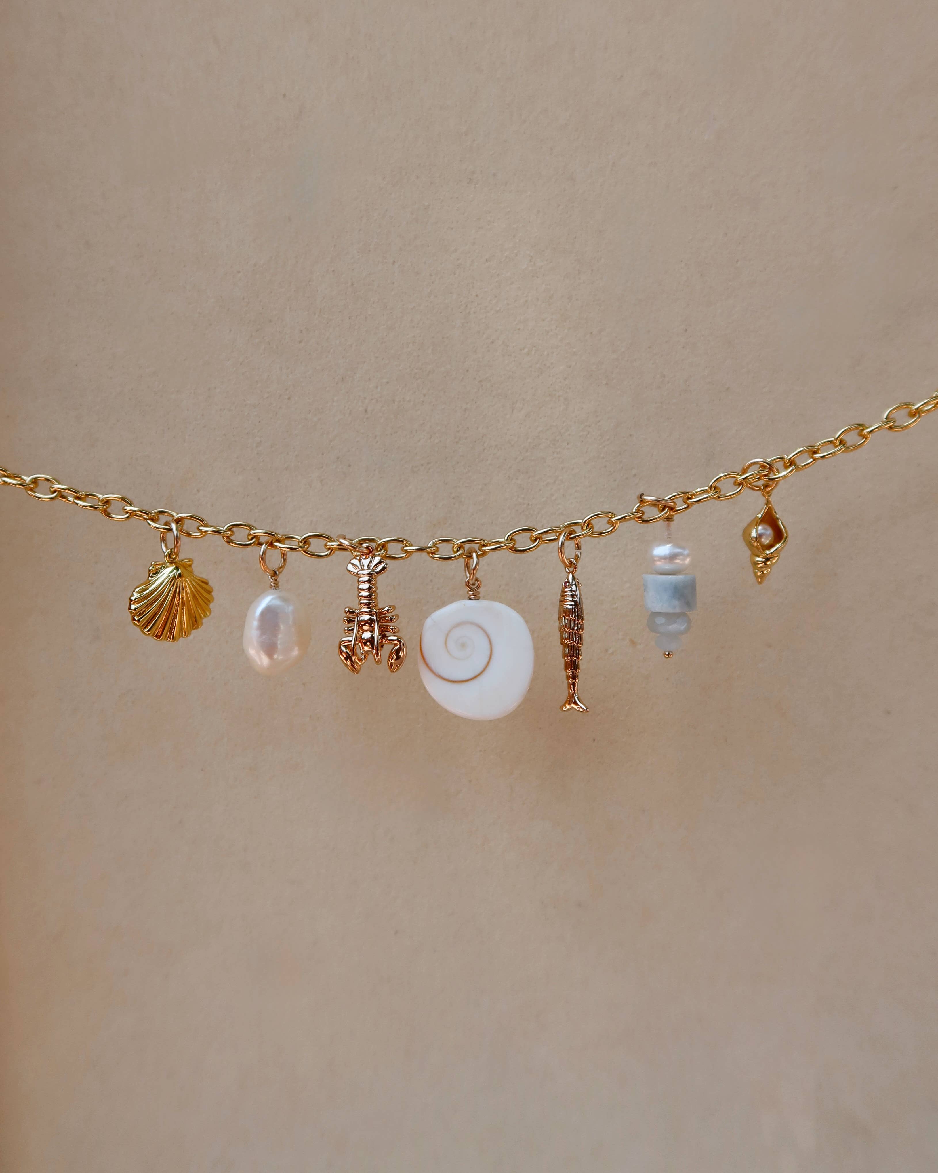 Petite Shia Fish Charm