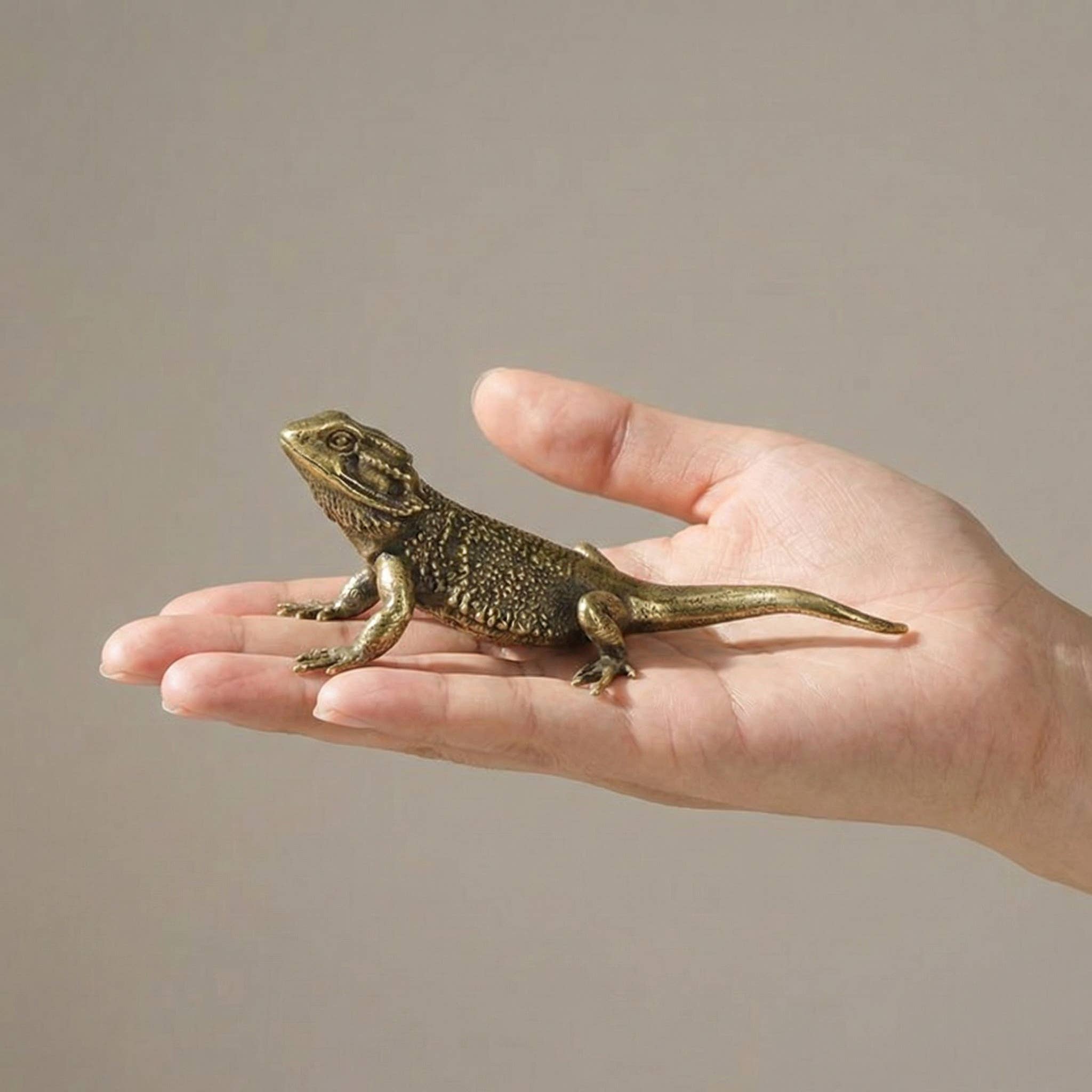 Brass Lizard