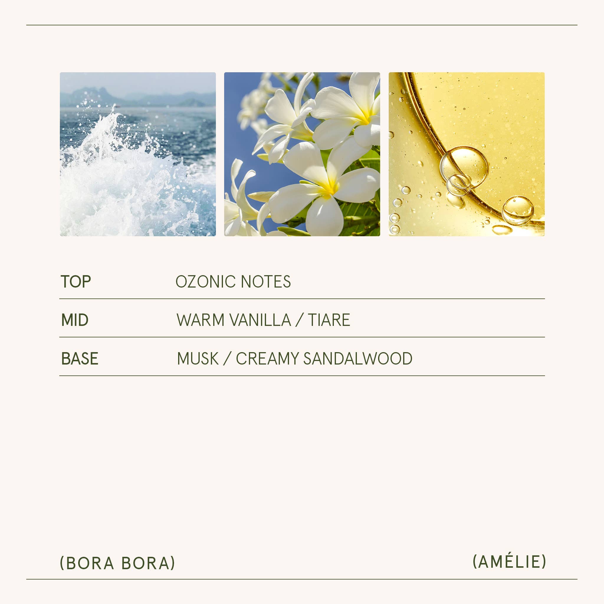 Scented Candle - Bora Bora - 11 oz | La Jolie Muse
