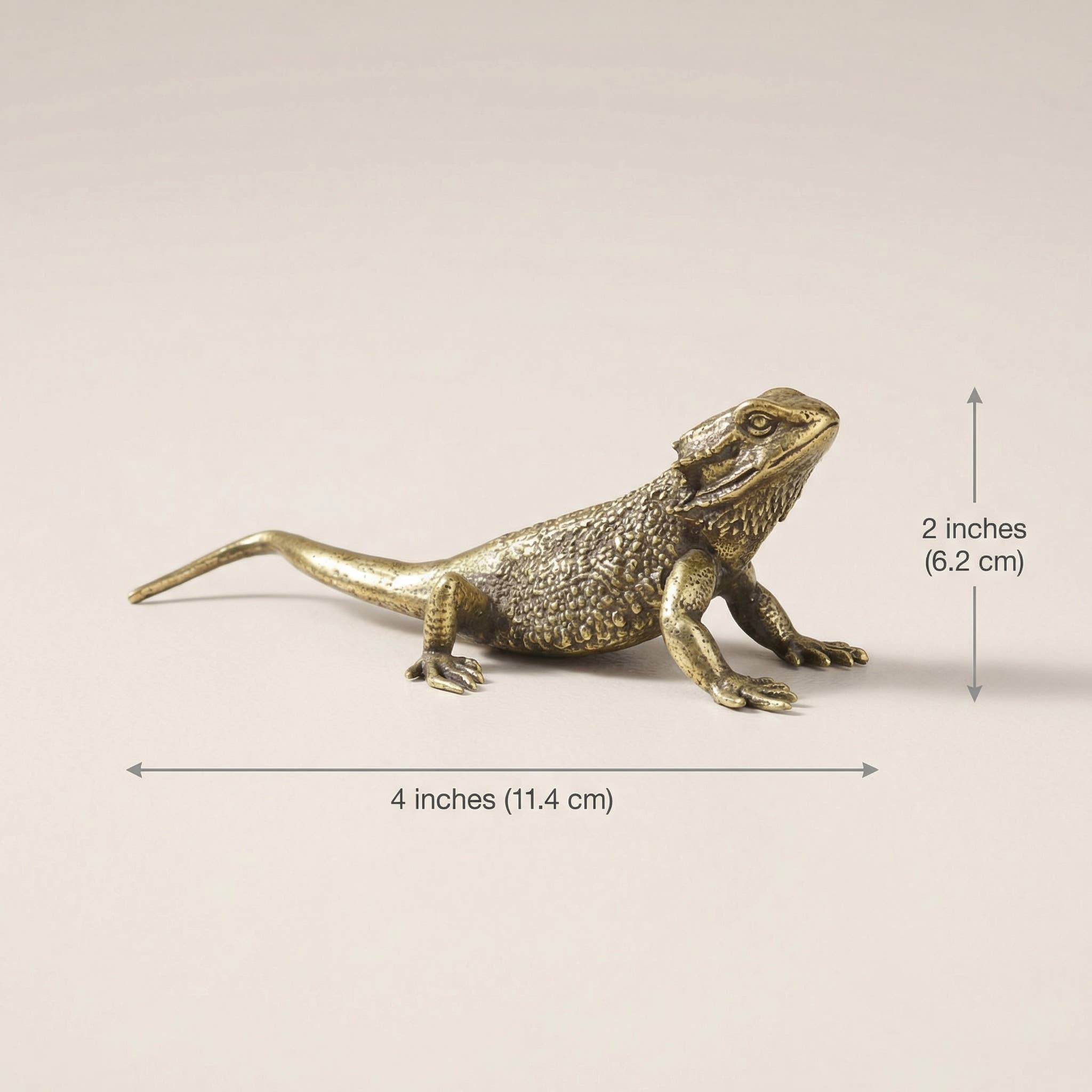 Brass Lizard